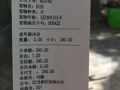 -暖阳宠物医院·犬猫康复中心·骨科