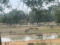 -北京麋鹿生态实验中心