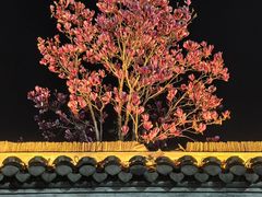 -口岸雕花楼