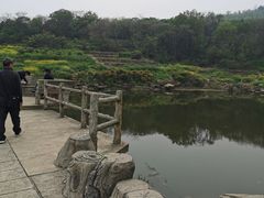 -巢湖姥山岛