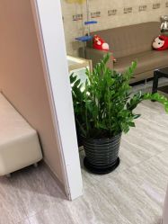 点击看大图 体验后-上海首尔丽格医疗美容医院
