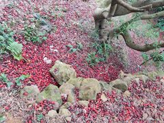 -树山生态村