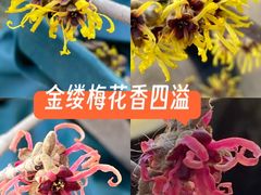 -国家植物园南园