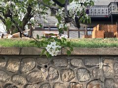 -海棠花溪(元大都城垣遗址公园)