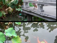 -丝绸小镇荻港古村