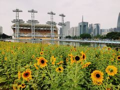 -海心沙亚运公园