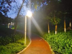-重庆彩云湖湿地公园