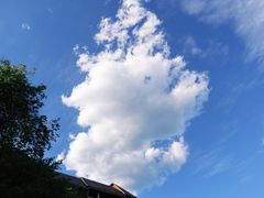 -蟒山国家森林公园天池停车场