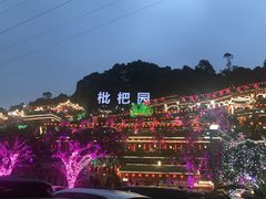 -枇杷园食为鲜火锅(南山店)