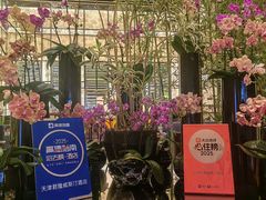 -天津君隆威斯汀酒店