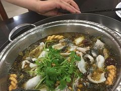 -李二鲜鱼火锅(保康店)