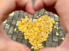 -良友书坊(安徽路店)