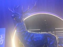 -额尔敦传统涮(公园西路店)