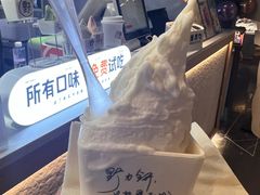 -野人牧坊Gelato(天津南开大悦城店)
