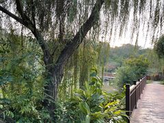 -厦门悦华酒店
