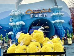-大连圣亚海洋世界