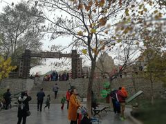 -石家庄市动物园