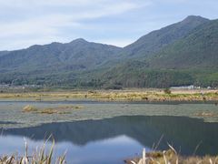 -腾冲北海湿地