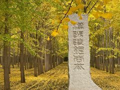 -汉景帝阳陵博物院