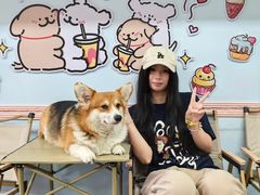 -汪说·狗咖·拼豆·宠物周边DIY(旺城大厦店)