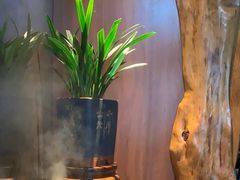 -隐厨·中国菜馆(三里屯T+MALL店)
