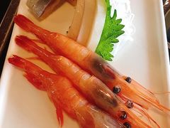 北极甜虾刺身-高木日本料理(静安寺店)