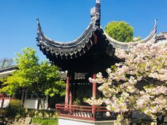 -常熟方塔园