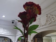 -大鸭梨烤鸭(左家庄店)