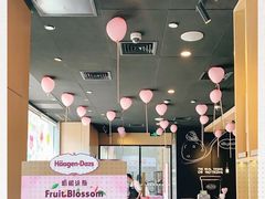 -哈根达斯(西安高新店)