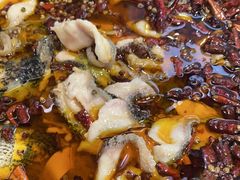 -金三可市井水煮鱼(金碧园店)