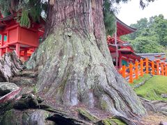 -奈良公园