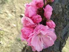 -意大利农场度假村