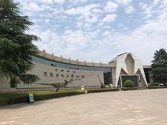 -中国西峡恐龙遗迹园