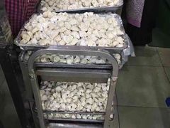 -回坊马二饺子馆
