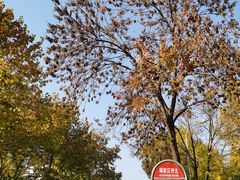 -北京市朝阳区不动产登记中心