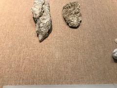 -烟台市博物馆