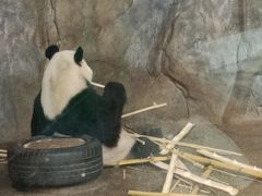 -深圳野生动物园