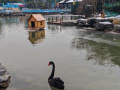 -扬州瘦西湖温泉