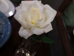 -1861意大利餐厅(文化广场店)