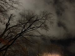 -北海道厅旧本厅舍(旧本庁舎)