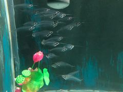 -苏州海洋馆