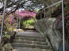 -厦门鸿山寺