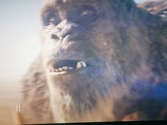 -龙之星国际影城(太平店)