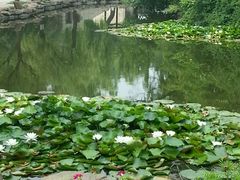 -淄博聊斋城景区