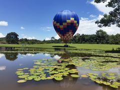 -中国科学院西双版纳热带植物园