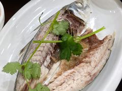 -长平肥姐白粥·海鲜打冷