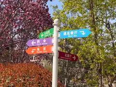 -青岛鑫江温德姆酒店