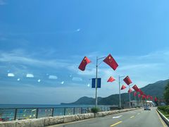 -杨梅坑