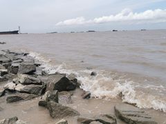 -上海滨江森林公园