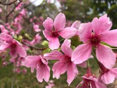 -田野绿世界